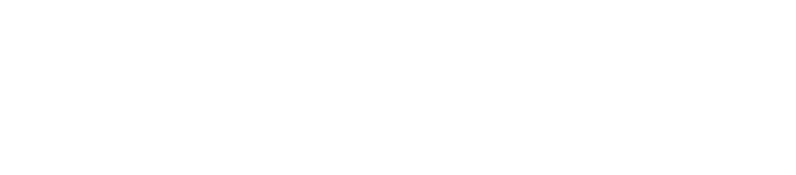 Control Alt Web